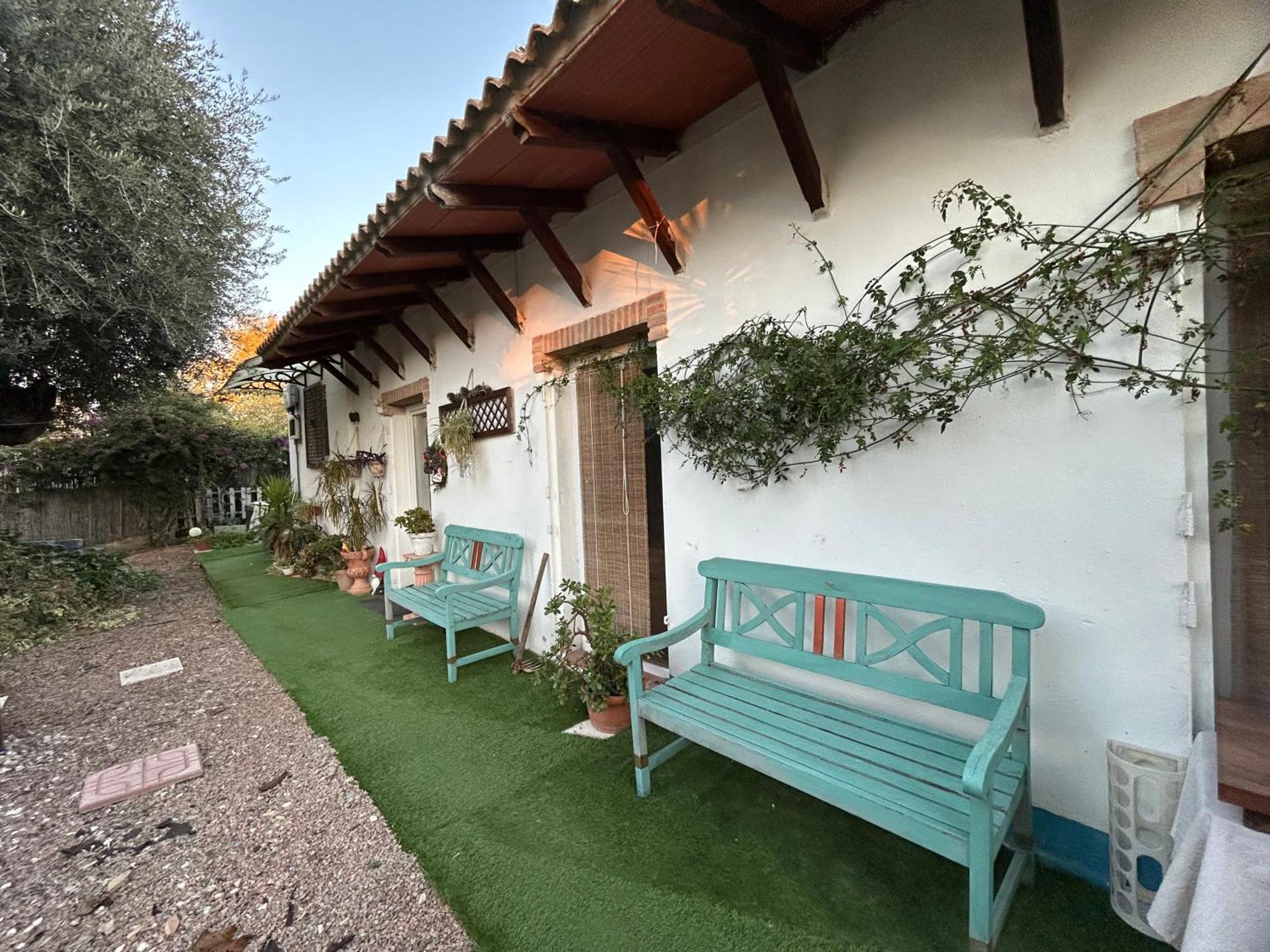 Loft Independiente "La Casita Del Olivo Centenario" Кордоба Екстериор снимка